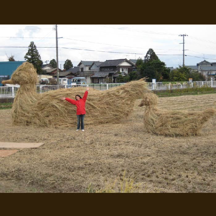 カモの親子