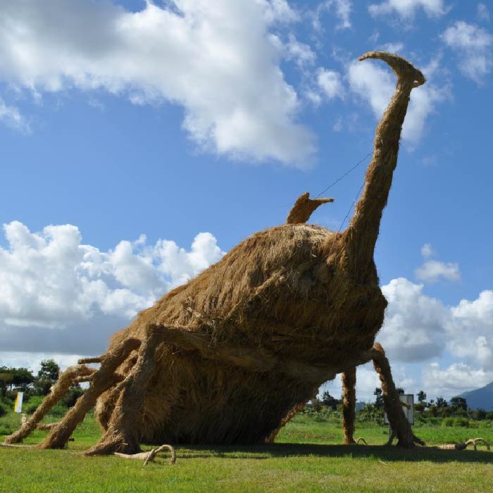 カブトムシ