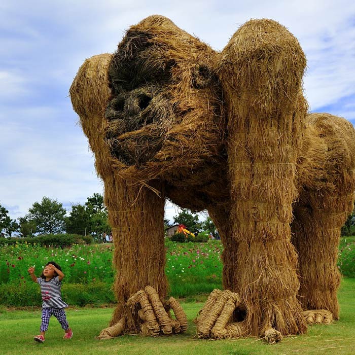 マウンテンゴリラ