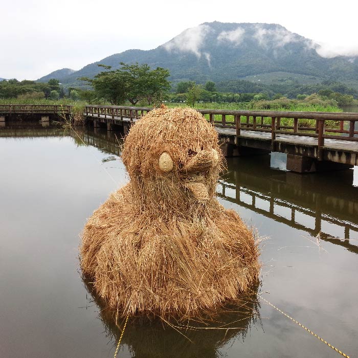 アヒル
