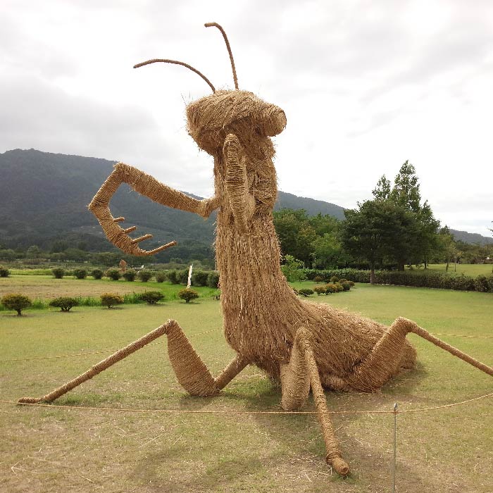 カマキリ