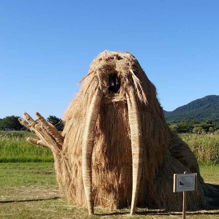 セイウチ