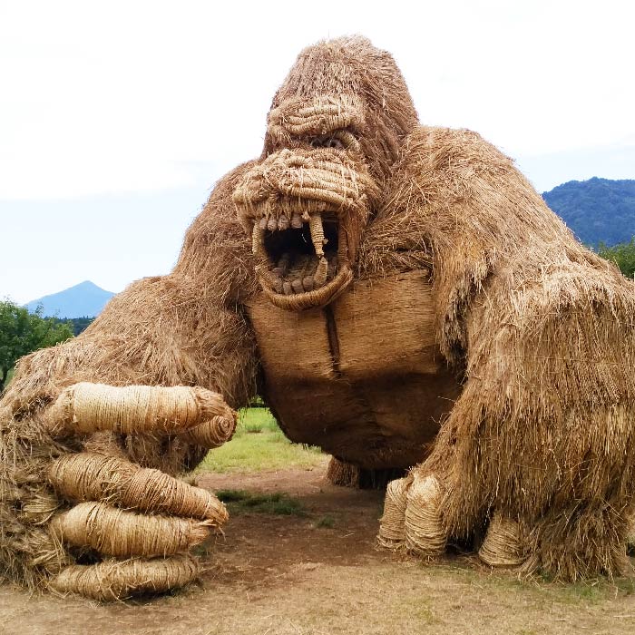 ゴリラ
