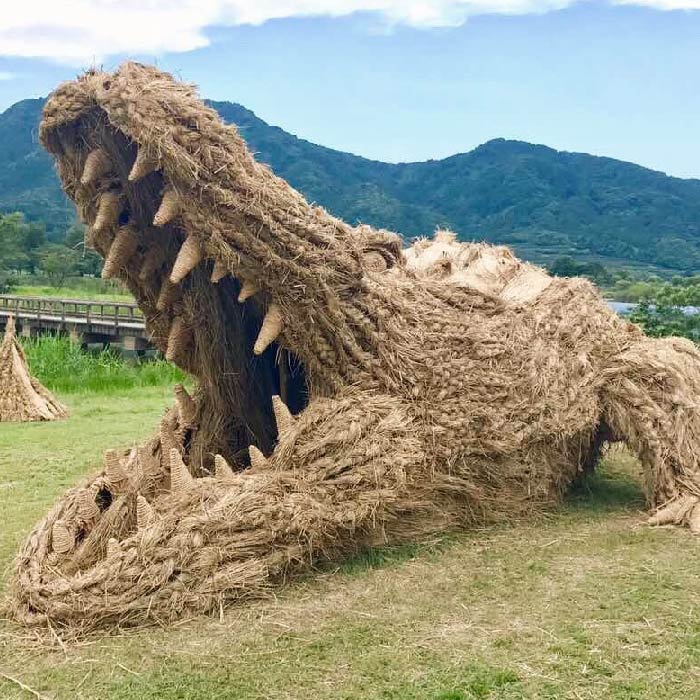 ワニ