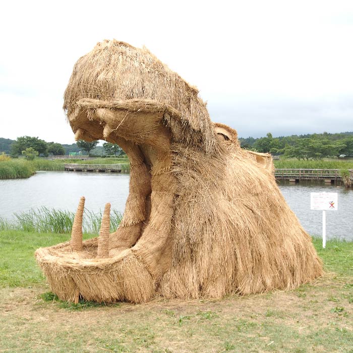 カバ