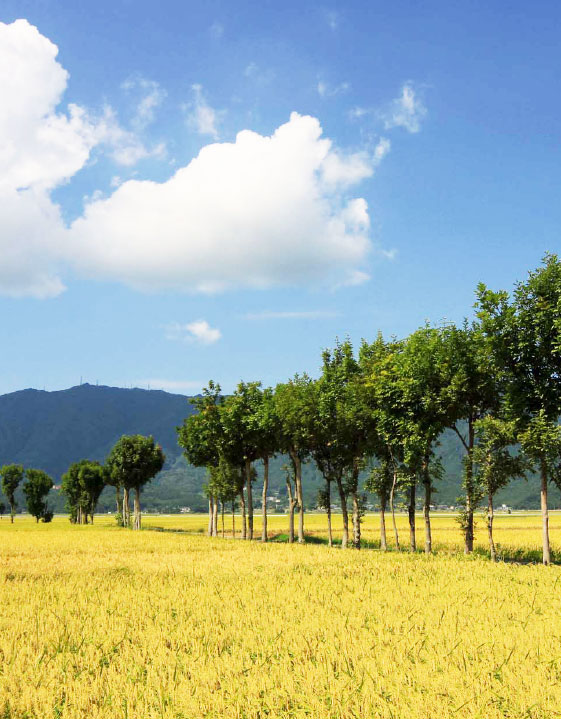 关于西蒲区/旅游信息