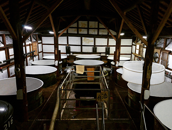 Sake Brewery Tours (Sasaiwai Brewery) 