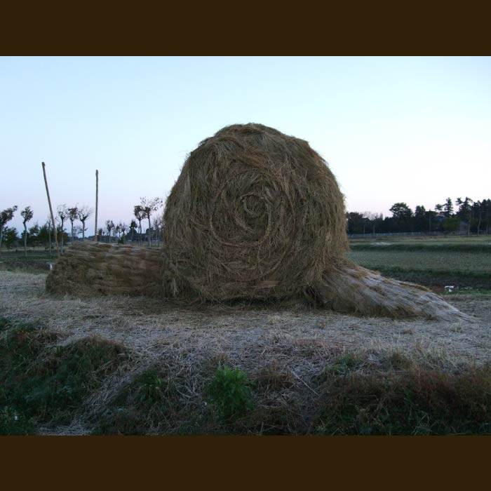 かたつむり